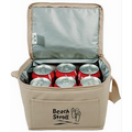 The Non-Woven 6-Pack Insulated Cooler